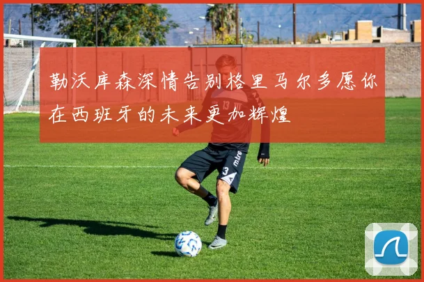 勒沃库森深情告别格里马尔多愿你在西班牙的未来更加辉煌